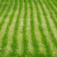 La asociación entre una empresa argentina con otra de capitales norteamercianos generó expectativas en el sector ya que ambas firmas van a potenciarse. Se especializan en la fabricación de productos...