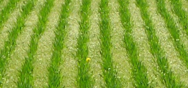 La asociación entre una empresa argentina con otra de capitales norteamercianos generó expectativas en el sector ya que ambas firmas van a potenciarse. Se especializan en la fabricación de productos...